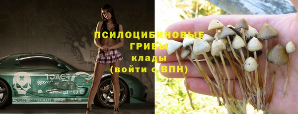 прущий лед Алексеевка